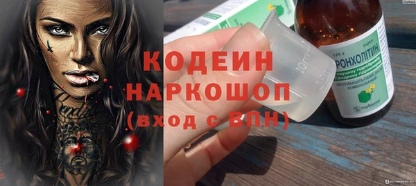 дурь Вяземский