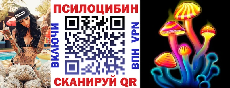Галлюциногенные грибы Magic Shrooms  Закаменск 